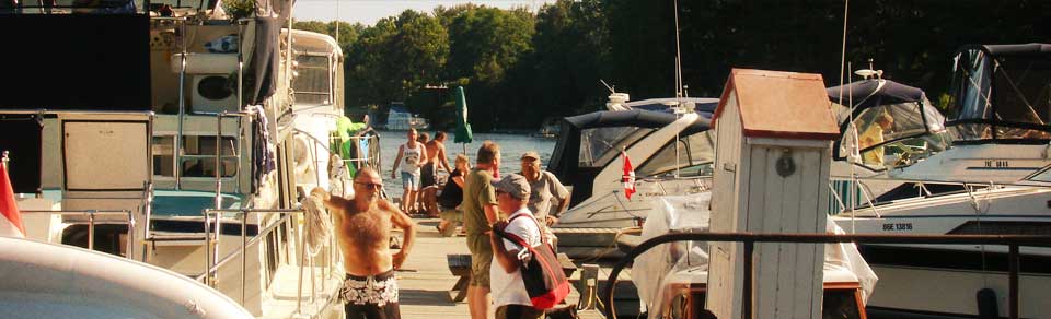 Sunset Cove Marina - Overview Shot